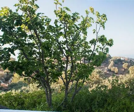 Casa Piedra * Pera Meria